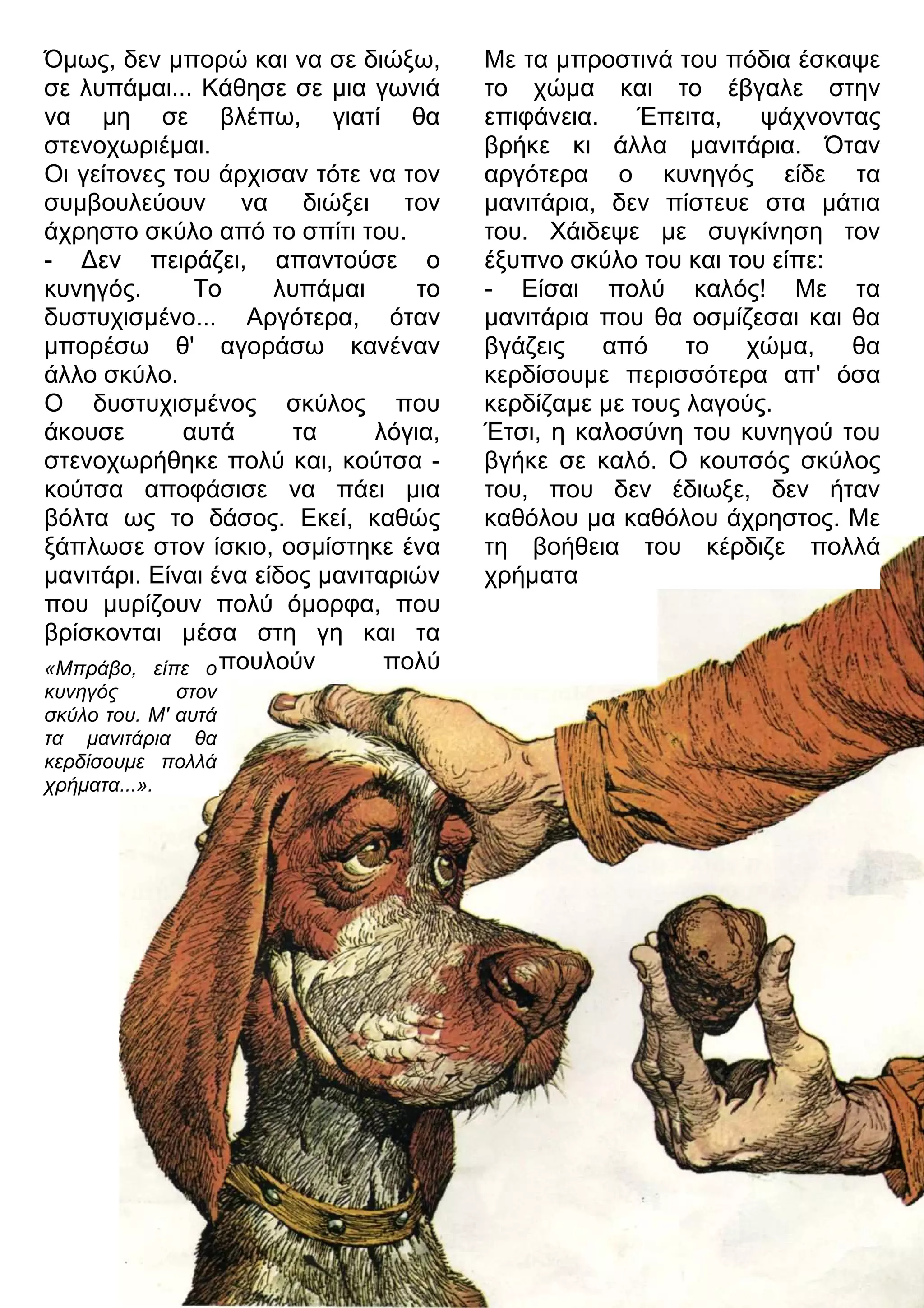 Όμως, δεν μπορώ και να σε διώξω, 
σε λυπάμαι... Κάθησε σε μια γωνιά 
να μη σε βλέπω, γιατί θα 
στενοχωριέμαι. 
Οι γείτονες του άρχισαν τότε να τον 
συμβουλεύουν να διώξει τον 
άχρηστο σκύλο από το σπίτι του. 
- 3εν πειράζει, απαντούσε ο 
κυνηγός. Το λυπάμαι το 
δυστυχισμένο... Αργότερα, όταν 
μπορέσω θ' αγοράσω κανέναν 
άλλο σκύλο. 
Ο δυστυχισμένος σκύλος που 
άκουσε αυτά τα λόγια, 
στενοχωρήθηκε πολύ και, κούτσα - 
κούτσα αποφάσισε να πάει μια 
βόλτα ως το δάσος. Εκεί, καθώς 
ξάπλωσε στον ίσκιο, οσμίστηκε ένα 
μανιτάρι. Είναι ένα είδος μανιταριών 
που μυρίζουν πολύ όμορφα, που 
βρίσκονται μέσα στη γη και τα 
πουλούν πολύ 
Με τα μπροστινά του πόδια έσκαψε 
το χώμα και το έβγαλε στην 
επιφάνεια. Έπειτα, ψάχνοντας 
βρήκε κι άλλα μανιτάρια. Όταν 
αργότερα ο κυνηγός είδε τα 
μανιτάρια, δεν πίστευε στα μάτια 
του. Χάιδεψε με συγκίνηση τον 
έξυπνο σκύλο του και του είπε: 
- Είσαι πολύ καλός! Με τα 
μανιτάρια που θα οσμίζεσαι και θα 
βγάζεις από το χώμα, θα 
κερδίσουμε περισσότερα απ' όσα 
κερδίζαμε με τους λαγούς. 
Έτσι, η καλοσύνη του κυνηγού του 
βγήκε σε καλό. Ο κουτσός σκύλος 
του, που δεν έδιωξε, δεν ήταν 
καθόλου μα καθόλου άχρηστος. Με 
τη βοήθεια του κέρδιζε πολλά 
χρήματα 
«Μπράβο, είπε ο 
κυνηγός στον 
σκύλο του. Μ' αυτά 
τα μανιτάρια θα 
κερδίσουμε πολλά 
χρήματα...». 
 