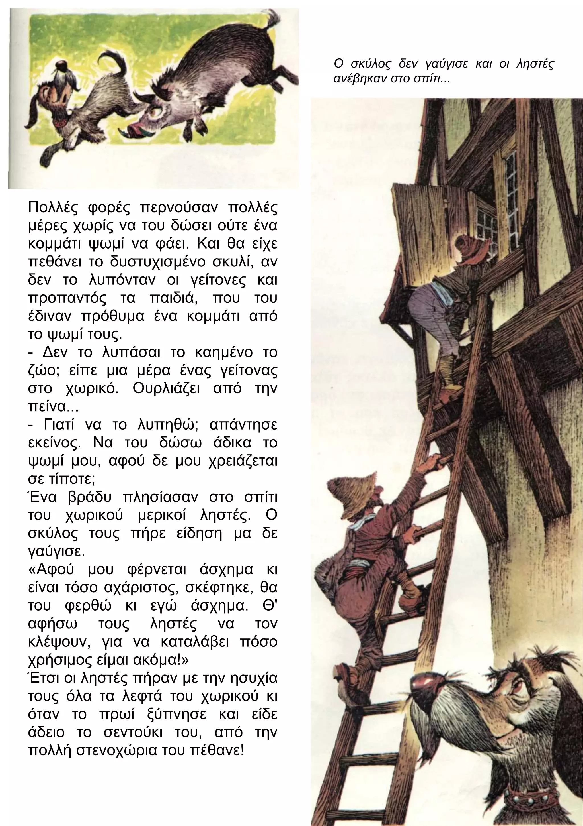 Πολλές φορές περνούσαν πολλές 
μέρες χωρίς να του δώσει ούτε ένα 
κομμάτι ψωμί να φάει. Και θα είχε 
πεθάνει το δυστυχισμένο σκυλί, αν 
δεν το λυπόνταν οι γείτονες και 
προπαντός τα παιδιά, που του 
έδιναν πρόθυμα ένα κομμάτι από 
το ψωμί τους. 
- 3εν το λυπάσαι το καημένο το 
ζώο; είπε μια μέρα ένας γείτονας 
στο χωρικό. Ουρλιάζει από την 
πείνα... 
- Γιατί να το λυπηθώ; απάντησε 
εκείνος. Να του δώσω άδικα το 
ψωμί μου, αφού δε μου χρειάζεται 
σε τίποτε; 
Ένα βράδυ πλησίασαν στο σπίτι 
του χωρικού μερικοί ληστές. Ο 
σκύλος τους πήρε είδηση μα δε 
γαύγισε. 
«Αφού μου φέρνεται άσχημα κι 
είναι τόσο αχάριστος, σκέφτηκε, θα 
του φερθώ κι εγώ άσχημα. Θ' 
αφήσω τους ληστές να τον 
κλέψουν, για να καταλάβει πόσο 
χρήσιμος είμαι ακόμα!» 
Έτσι οι ληστές πήραν με την ησυχία 
τους όλα τα λεφτά του χωρικού κι 
όταν το πρωί ξύπνησε και είδε 
άδειο το σεντούκι του, από την 
πολλή στενοχώρια του πέθανε! 
Ο σκύλος δεν γαύγισε και οι ληστές 
ανέβηκαν στο σπίτι... 
 