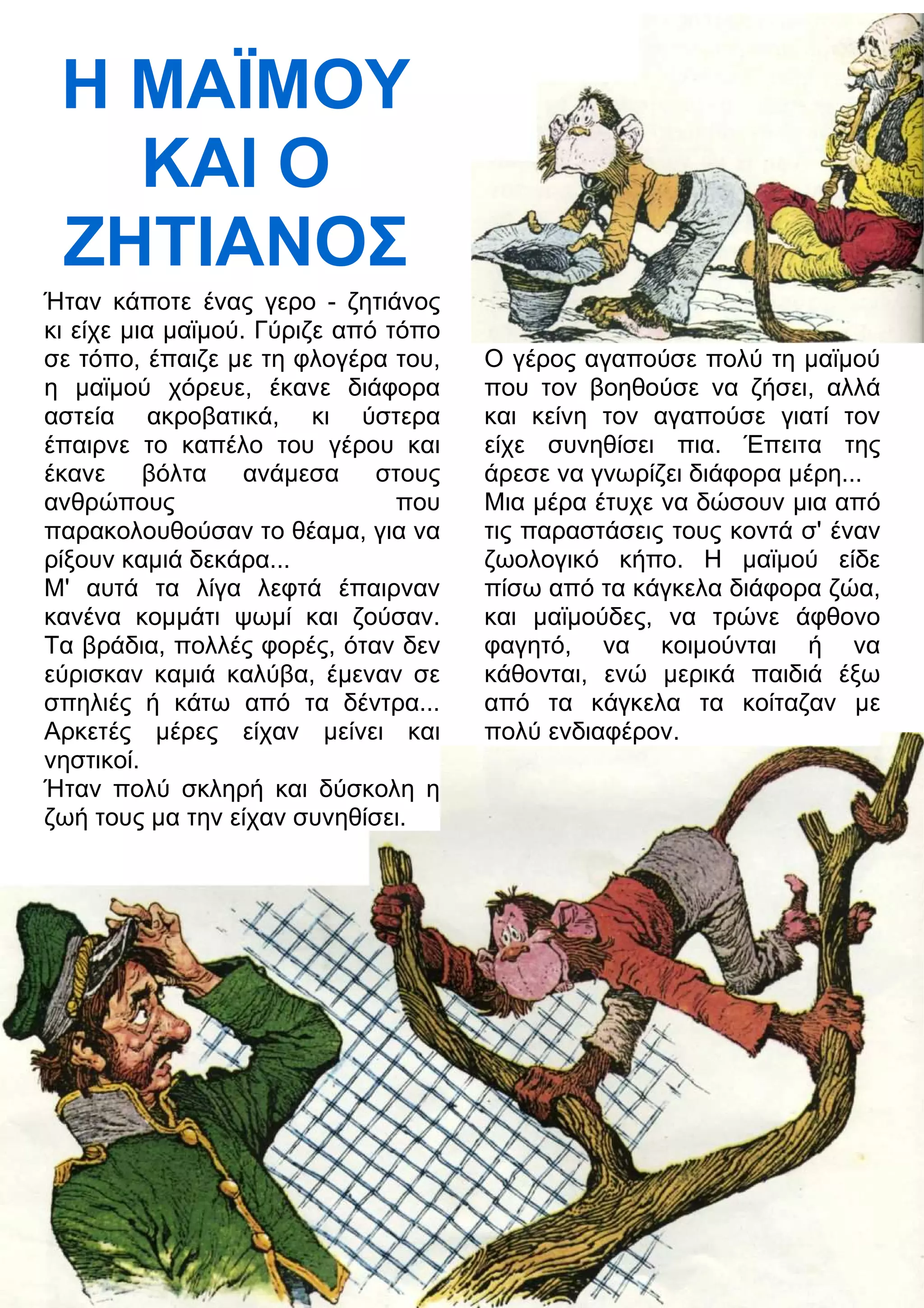 Η ΜΑΪΜΟΥ 
ΚΑΙ Ο 
ΖΗΤΙΑΝΟΣ 
Ήταν κάποτε ένας γερο - ζητιάνος 
κι είχε μια μαϊμού. Γύριζε από τόπο 
σε τόπο, έπαιζε με τη φλογέρα του, 
η μαϊμού χόρευε, έκανε διάφορα 
αστεία ακροβατικά, κι ύστερα 
έπαιρνε το καπέλο του γέρου και 
έκανε βόλτα ανάμεσα στους 
ανθρώπους που 
παρακολουθούσαν το θέαμα, για να 
ρίξουν καμιά δεκάρα... 
Μ' αυτά τα λίγα λεφτά έπαιρναν 
κανένα κομμάτι ψωμί και ζούσαν. 
Τα βράδια, πολλές φορές, όταν δεν 
εύρισκαν καμιά καλύβα, έμεναν σε 
σπηλιές ή κάτω από τα δέντρα... 
Αρκετές μέρες είχαν μείνει και 
νηστικοί. 
Ήταν πολύ σκληρή και δύσκολη η 
ζωή τους μα την είχαν συνηθίσει. 
Ο γέρος αγαπούσε πολύ τη μαϊμού 
που τον βοηθούσε να ζήσει, αλλά 
και κείνη τον αγαπούσε γιατί τον 
είχε συνηθίσει πια. Έπειτα της 
άρεσε να γνωρίζει διάφορα μέρη... 
Μια μέρα έτυχε να δώσουν μια από 
τις παραστάσεις τους κοντά σ' έναν 
ζωολογικό κήπο. Η μαϊμού είδε 
πίσω από τα κάγκελα διάφορα ζώα, 
και μαϊμούδες, να τρώνε άφθονο 
φαγητό, να κοιμούνται ή να 
κάθονται, ενώ μερικά παιδιά έξω 
από τα κάγκελα τα κοίταζαν με 
πολύ ενδιαφέρον. 
 