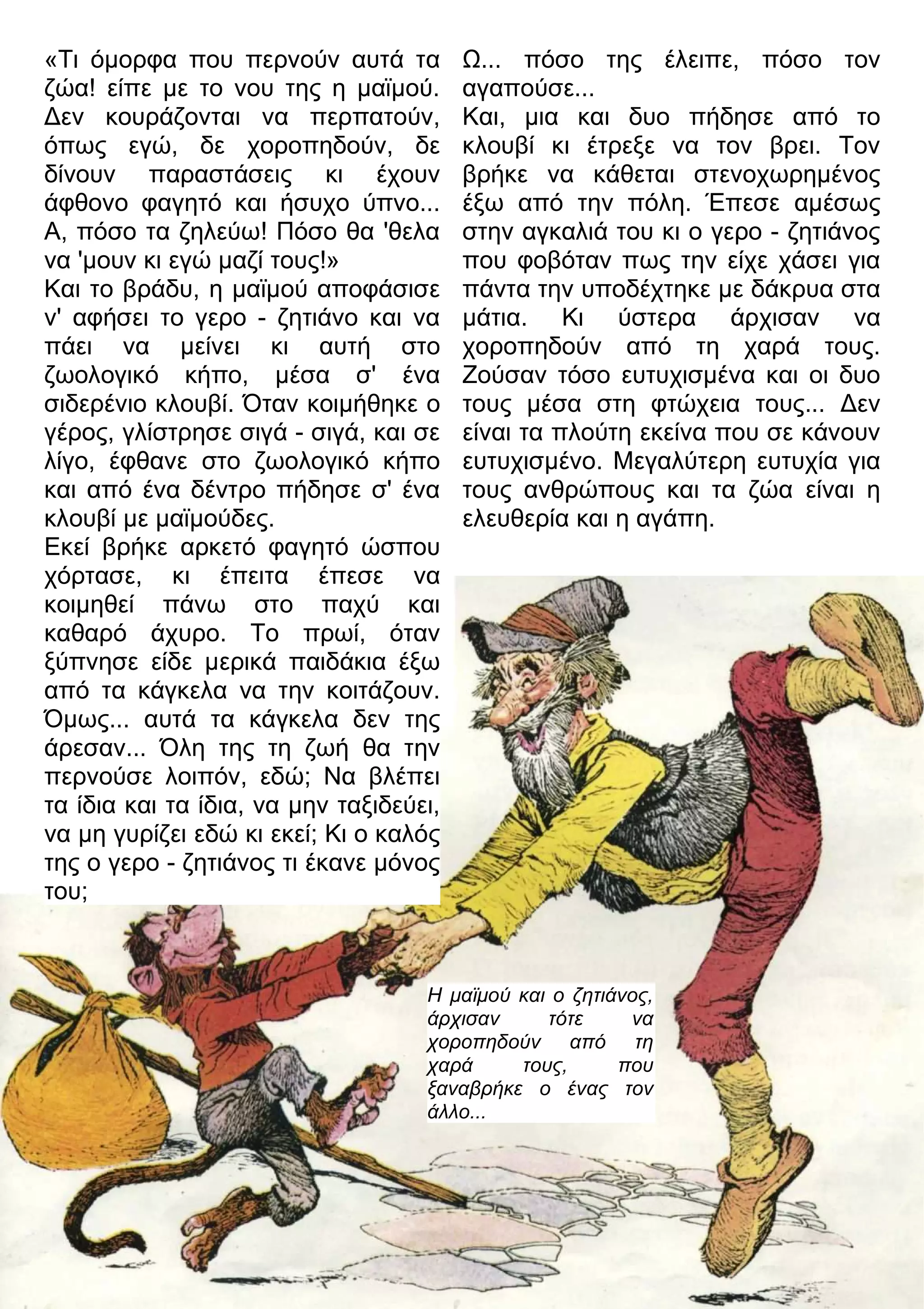 «Τι όμορφα που περνούν αυτά τα 
ζώα! είπε με το νου της η μαϊμού. 
3εν κουράζονται να περπατούν, 
όπως εγώ, δε χοροπηδούν, δε 
δίνουν παραστάσεις κι έχουν 
άφθονο φαγητό και ήσυχο ύπνο... 
Α, πόσο τα ζηλεύω! Πόσο θα 'θελα 
να 'μουν κι εγώ μαζί τους!» 
Και το βράδυ, η μαϊμού αποφάσισε 
ν' αφήσει το γερο - ζητιάνο και να 
πάει να μείνει κι αυτή στο 
ζωολογικό κήπο, μέσα σ' ένα 
σιδερένιο κλουβί. Όταν κοιμήθηκε ο 
γέρος, γλίστρησε σιγά - σιγά, και σε 
λίγο, έφθανε στο ζωολογικό κήπο 
και από ένα δέντρο πήδησε σ' ένα 
κλουβί με μαϊμούδες. 
Εκεί βρήκε αρκετό φαγητό ώσπου 
χόρτασε, κι έπειτα έπεσε να 
κοιμηθεί πάνω στο παχύ και 
καθαρό άχυρο. Το πρωί, όταν 
ξύπνησε είδε μερικά παιδάκια έξω 
από τα κάγκελα να την κοιτάζουν. 
Όμως... αυτά τα κάγκελα δεν της 
άρεσαν... Όλη της τη ζωή θα την 
περνούσε λοιπόν, εδώ; Να βλέπει 
τα ίδια και τα ίδια, να μην ταξιδεύει, 
να μη γυρίζει εδώ κι εκεί; Κι ο καλός 
της ο γερο - ζητιάνος τι έκανε μόνος 
του; 
7... πόσο της έλειπε, πόσο τον 
αγαπούσε... 
Και, μια και δυο πήδησε από το 
κλουβί κι έτρεξε να τον βρει. Τον 
βρήκε να κάθεται στενοχωρημένος 
έξω από την πόλη. Έπεσε αμέσως 
στην αγκαλιά του κι ο γερο - ζητιάνος 
που φοβόταν πως την είχε χάσει για 
πάντα την υποδέχτηκε με δάκρυα στα 
μάτια. Κι ύστερα άρχισαν να 
χοροπηδούν από τη χαρά τους. 
Ζούσαν τόσο ευτυχισμένα και οι δυο 
τους μέσα στη φτώχεια τους... 3εν 
είναι τα πλούτη εκείνα που σε κάνουν 
ευτυχισμένο. Μεγαλύτερη ευτυχία για 
τους ανθρώπους και τα ζώα είναι η 
ελευθερία και η αγάπη. 
Η μαϊμού και ο ζητιάνος, 
άρχισαν τότε να 
χοροπηδούν από τη 
χαρά τους, που 
ξαναβρήκε ο ένας τον 
άλλο... 
 