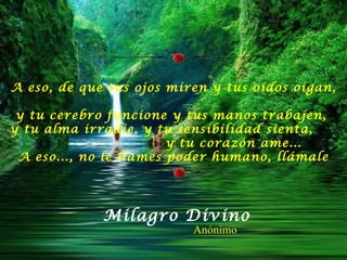 A eso, de que tus ojos miren y tus oídos oigan,  y tu cerebro funcione y tus manos trabajen,  y tu alma irradie, y tu sensibilidad sienta,  y tu corazón ame...  A eso..., no le llames poder humano, llámale Milagro Divino Anónimo 