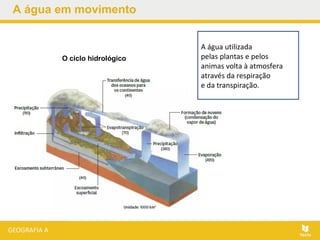 A água em movimento
O ciclo hidrológico
A água utilizada
pelas plantas e pelos
animas volta à atmosfera
através da respiração
e da transpiração.
 