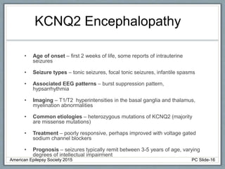 KCNQ2 Encephalopathy
• Age of onset – first 2 weeks of life, some reports of intrauterine
seizures
• Seizure types – tonic seizures, focal tonic seizures, infantile spasms
• Associated EEG patterns – burst suppression pattern,
hypsarrhythmia
• Imaging – T1/T2 hyperintensities in the basal ganglia and thalamus,
myelination abnormalities
• Common etiologies – heterozygous mutations of KCNQ2 (majority
are missense mutations)
• Treatment – poorly responsive, perhaps improved with voltage gated
sodium channel blockers
• Prognosis – seizures typically remit between 3-5 years of age, varying
degrees of intellectual impairment
American Epilepsy Society 2015 PC Slide-16
 
