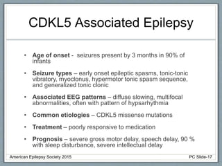 CDKL5 Associated Epilepsy
• Age of onset - seizures present by 3 months in 90% of
infants
• Seizure types – early onset epileptic spasms, tonic-tonic
vibratory, myoclonus, hypermotor tonic spasm sequence,
and generalized tonic clonic
• Associated EEG patterns – diffuse slowing, multifocal
abnormalities, often with pattern of hypsarhythmia
• Common etiologies – CDKL5 missense mutations
• Treatment – poorly responsive to medication
• Prognosis – severe gross motor delay, speech delay, 90 %
with sleep disturbance, severe intellectual delay
American Epilepsy Society 2015 PC Slide-17
 
