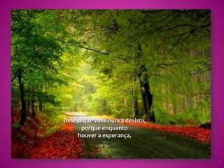 Desejo que você nunca desista,porque enquanto houver a esperança,