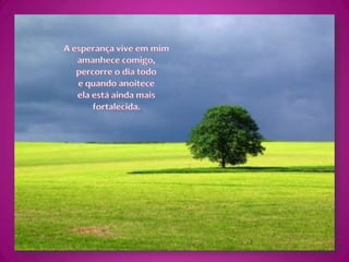 A esperança vive em mimamanhece comigo,percorre o dia todoe quando anoiteceela está ainda mais fortalecida.