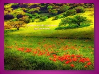 Lembro-me da esperança que me move.