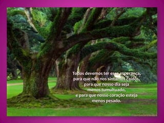 Todos devemos ter essa esperança,para que não nos sintamos caídos,para que nosso dia seja menos tumultuado,e para que nosso coração esteja menos pesado.