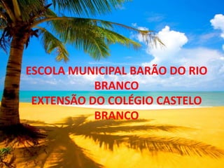ESCOLA MUNICIPAL BARÃO DO RIO BRANCO EXTENSÃO DO COLÉGIO CASTELO BRANCO<br />