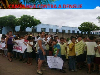 CAMPANHA CONTRA A DENGUE<br />