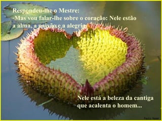 Respondeu-lhe o Mestre: Mas vou falar-lhe sobre o coração: Nele estão a alma, a paixão e a alegria.  Nele está a beleza da cantiga que acalenta o homem... 