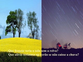 Que frescor teria o solo sem a relva? Que alívio teríamos no verão se não caísse a chuva? 