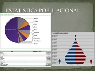 A estatística pedro