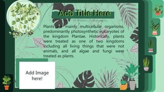 Add Title Here
Add Title Here
Plants are mainly multicellular organisms,
predominantly photosynthetic eukaryotes of
the kingdom Plantae. Historically, plants
were treated as one of two kingdoms
including all living things that were not
animals, and all algae and fungi were
treated as plants.
Add Image
here!
 