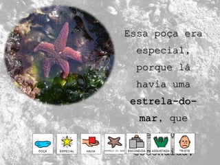Essa poça era
especial,
porque lá
havia uma
estrela-do-
mar, que
estava
escondida,
 