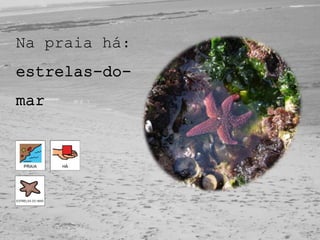 Na praia há:
estrelas-do-
mar
 