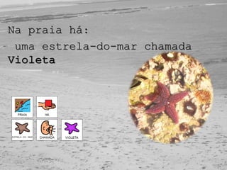 Na praia há:
uma estrela-do-mar chamada
Violeta
 
