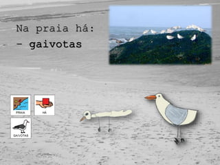 Na praia há:
- gaivotas
 