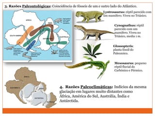 3. Razões Paleontológicas: Coincidência de fósseis de um e outro lado do Atlântico.
                                                             Lystrosaurus: réptil parecido com
                                                             um mamífero. Viveu no Triásico.


                                                                    Cynognathus: réptil
                                                                    parecido com um
                                                                    mamífero. Viveu no
                                                                    Triásico, media 1 m.


                                                                    Glossopteris:
                                                                    planta fóssil do
                                                                    Paleozoico.


                                                                    Mesosaurus: pequeno
                                                                    réptil fluvial do
                                                                    Carbónico e Pérmico.




                                  4. Razões Paleoclimáticas: Indícios da mesma
                                  glaciação em lugares muito distantes como
                                  África, América do Sul, Austrália, Índia e
                                  Antárctida.
 