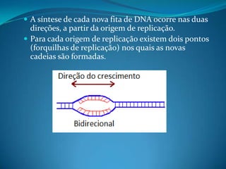  A síntese de cada nova fita de DNA ocorre nas duas

direções, a partir da origem de replicação.
 Para cada origem de replicação existem dois pontos
(forquilhas de replicação) nos quais as novas
cadeias são formadas.

 