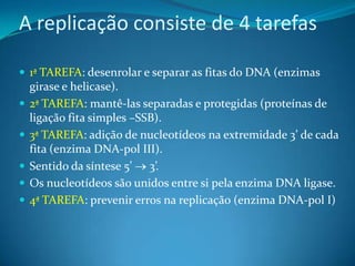 A replicação consiste de 4 tarefas
 1ª TAREFA: desenrolar e separar as fitas do DNA (enzimas








girase e helicase).
2ª TAREFA: mantê-las separadas e protegidas (proteínas de
ligação fita simples –SSB).
3ª TAREFA: adição de nucleotídeos na extremidade 3’ de cada
fita (enzima DNA-pol III).
Sentido da síntese 5’ 3’.
Os nucleotídeos são unidos entre si pela enzima DNA ligase.
4ª TAREFA: prevenir erros na replicação (enzima DNA-pol I)

 