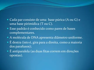  Cada par consiste de uma base púrica (A ou G) e





uma base pirimídica (T ou C).
Esse padrão é conhecido como pares de bases
complementares.
A molécula de DNA apresenta diâmetro uniforme.
É destra (isto é, gira para a direita, como a maioria
dos parafusos);
É antiparalela (as duas fitas correm em direções
opostas).

 