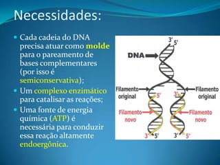 Necessidades:
 Cada cadeia do DNA

precisa atuar como molde
para o pareamento de
bases complementares
(por isso é
semiconservativa);
 Um complexo enzimático
para catalisar as reações;
 Uma fonte de energia
química (ATP) é
necessária para conduzir
essa reação altamente
endoergônica.

 