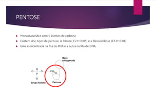 PENTOSE
 Monossacarídeo com 5 átomos de carbono
 Existem dois tipos de pentose: A Ribose( C2 H10 05) e a Desoxirribose (C5 H10 04)
 Uma é encontrada na fita de RNA e a outra na fita de DNA.
 