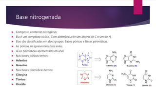Base nitrogenada
 Composto contendo nitrogênio
 Ela é um composto cíclico. Com alternância de um átomo de C e um de N
 Elas são classificadas em dois grupos: Bases púricas e Bases pirimídicas.
 As púricas só apresentam dois anéis.
 Já as pirimídicas apresentam um anel
 Nas bases púricas temos:
 Adenina
 Guanina
 Nas bases pirimídicas temos:
 Citosina
 Timina
 Uracila
 