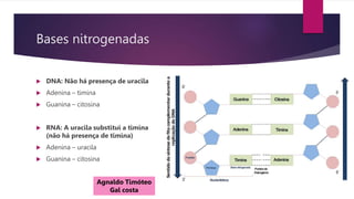 Bases nitrogenadas
 DNA: Não há presença de uracila
 Adenina – timina
 Guanina – citosina
 RNA: A uracila substitui a timina
(não há presença de timina)
 Adenina – uracila
 Guanina – citosina
Agnaldo Timóteo
Gal costa
 