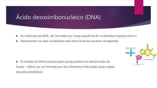 Ácido desoxirribonucleico (DNA)
 As moléculas de DNA, são formadas por longa sequência de nucleotídeos ligados entre si
 Representam-se cada nucleotídeo pela letra inicial da sua base nitrogenada.
 O modelo de DNA proposto pelos pesquisadores foi denominado de
Dupla – Hélice, por ser formado por dois filamentos helicoidais (duas cadeia
de polinucleotídeos)
 