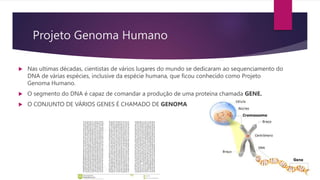 Projeto Genoma Humano
 Nas ultimas décadas, cientistas de vários lugares do mundo se dedicaram ao sequenciamento do
DNA de várias espécies, inclusive da espécie humana, que ficou conhecido como Projeto
Genoma Humano.
 O segmento do DNA é capaz de comandar a produção de uma proteína chamada GENE.
 O CONJUNTO DE VÁRIOS GENES É CHAMADO DE GENOMA
 