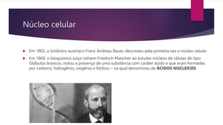 Núcleo celular
 Em 1802, o botânico austríaco Franz Andreas Bauer, descreveu pela primeira vez o núcleo celular.
 Em 1869, o bioquímico suíço Johann Friedrich Miescher ao estudar núcleos de células do tipo
Glóbulos brancos, notou a presença de uma substância com caráter ácido e que eram formadas
por carbono, hidrogênio, oxigênio e fósforo – na qual denominou de ÁCIDOS NUCLEICOS
 