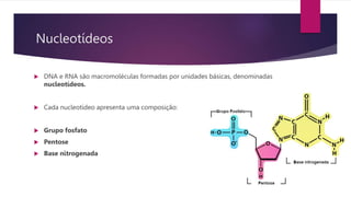 Nucleotídeos
 DNA e RNA são macromoléculas formadas por unidades básicas, denominadas
nucleotídeos.
 Cada nucleotídeo apresenta uma composição:
 Grupo fosfato
 Pentose
 Base nitrogenada
 
