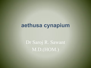 aethusa cynapium
Dr Saroj R. Sawant
M.D.(HOM.)
 
