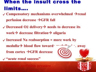 When the insult cross the limits…. Compensatory mechanisms overwhelmed   renal perfusion decrease   GFR fall Decreased O2 delivery   needs to decrease its work   decrease filtration   oliguria Increased Na reabsorption = more work by medulla   blood flow towards medulla ,i.e. away from cortex   GFR decrease   oliguria “ acute renal success” Increase perfusion pressure If we wait …..ATN  