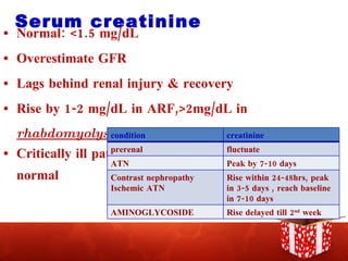 Serum creatinine Normal: <1.5 mg/dL Overestimate GFR Lags behind renal injury & recovery Rise by 1-2 mg/dL in ARF,>2mg/dL in  rhabdomyolysis Critically ill patient: a “normal” value may not be normal  condition creatinine prerenal fluctuate ATN Peak by 7-10 days Contrast nephropathy Ischemic ATN Rise within 24-48hrs, peak in 3-5 days , reach baseline in 7-10 days AMINOGLYCOSIDE Rise delayed till 2 nd  week 