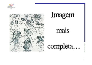 Imagem€
mais€

Professor:€João€José€Leal

completa…

9

 