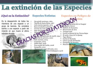 Es la desaparición de todos los
miembros de una especie o un
grupo de taxones. Se considera
extinta a una especie a partir del
instante en que muere el último
individuo de esta.
• Oso grizzli mexicano, 1964
• Tijerilla de Santa Elena, 1967
• León marino japonés, 1974
• Rana incubadora gástrica, 1983
• Gorrión de costa oscura, 1987
• Sapo dorado, 1989
• Tigre de Java, 1994
• Canario ostrero, 1994
• Pájaro carpintero pico de marfil, 1994
• Cabra de los pirineos, 2000
• Pato mariana, 2004
• Cyanerpes, 2004
• Delfín baiji, 2006
• Foca monje del Caribe, 2008
• Zampullín, 2010
• Rinoceronte negro del oeste, 2011
• Tortuga de la isla Pinta (Galápagos), 24 de
junio de 2012
 Vaquita Marina
 Marsopa sin aletas del rio Yangtsé
 Leopardo Amour
 Elefante de Sumantra
 Rinoceronte de Java
 Tortuga Laúd
 Gorila occidental de las Tierras Bajas
 El saola o buey de Vu Quang
 Tigre Blanco
 Gorila de Montaña
 Lémur grande del Bambú
 Orangután de Sumatra
 Rinoceronte Negro
 