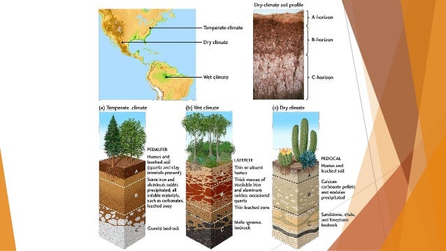 Pengertian Tanah Dan Proses Pembentukan Tanah Seputar Bentuk