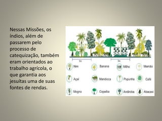 Nessas Missões, os
índios, além de
passarem pelo
processo de
catequização, também
eram orientados ao
trabalho agrícola, o
que garantia aos
jesuítas uma de suas
fontes de rendas.
 