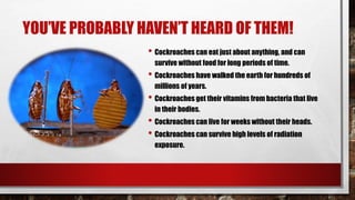 YOU’VE PROBABLY HAVEN’T HEARD OF THEM!
• Cockroaches can eat just about anything, and can
survive without food for long periods of time.
• Cockroaches have walked the earth for hundreds of
millions of years.
• Cockroaches get their vitamins from bacteria that live
in their bodies.
• Cockroaches can live for weeks without their heads.
• Cockroaches can survive high levels of radiation
exposure.
 