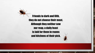 Friends to dark and filth,
they do not choose their meat.
Although they neither sow
nor reap, a daily feast
is laid for them in rooms
and kitchens of their pick.
 