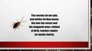 The roaches do not spin,
and neither do they weave.
But note the russet coat
the sluggards wear: clothed
at birth, roaches require
no roachy charity.
 