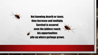 Not knowing dearth or taxes,
they increase and multiply.
Survival is assured
even the jobless roach;
his opportunities
pile up where garbage grows.
 
