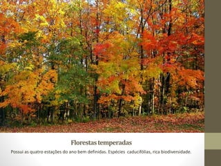 Florestastemperadas
Possui as quatro estações do ano bem definidas. Espécies caducifólias, rica biodiversidade.
 