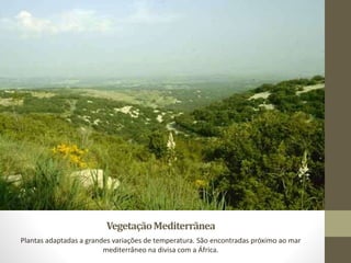 VegetaçãoMediterrãnea
Plantas adaptadas a grandes variações de temperatura. São encontradas próximo ao mar
mediterrâneo na divisa com a África.
 