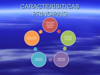 CARACTERÍSITICAS
   PRINCIPAIS
 