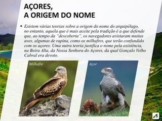AÇORES, 
A ORIGEM DO NOME 
 Existem várias teorias sobre a origem do nome do arquipélago, 
no entanto, aquela que é mais aceite pela tradição é a que defende 
que, ao tempo da “descoberta”, os navegadores avistaram muitas 
aves, algumas de rapina, como os milhafres, que terão confundido 
com os açores. Uma outra teoria justifica o nome pela existência, 
na Beira Alta, da Nossa Senhora do Açores, da qual Gonçalo Velho 
Cabral era devoto. 
Milhafre Açor 
 