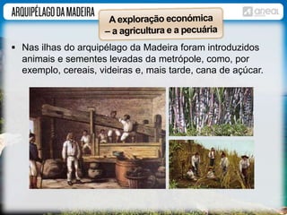  Nas ilhas do arquipélago da Madeira foram introduzidos 
animais e sementes levadas da metrópole, como, por 
exemplo, cereais, videiras e, mais tarde, cana de açúcar. 
 